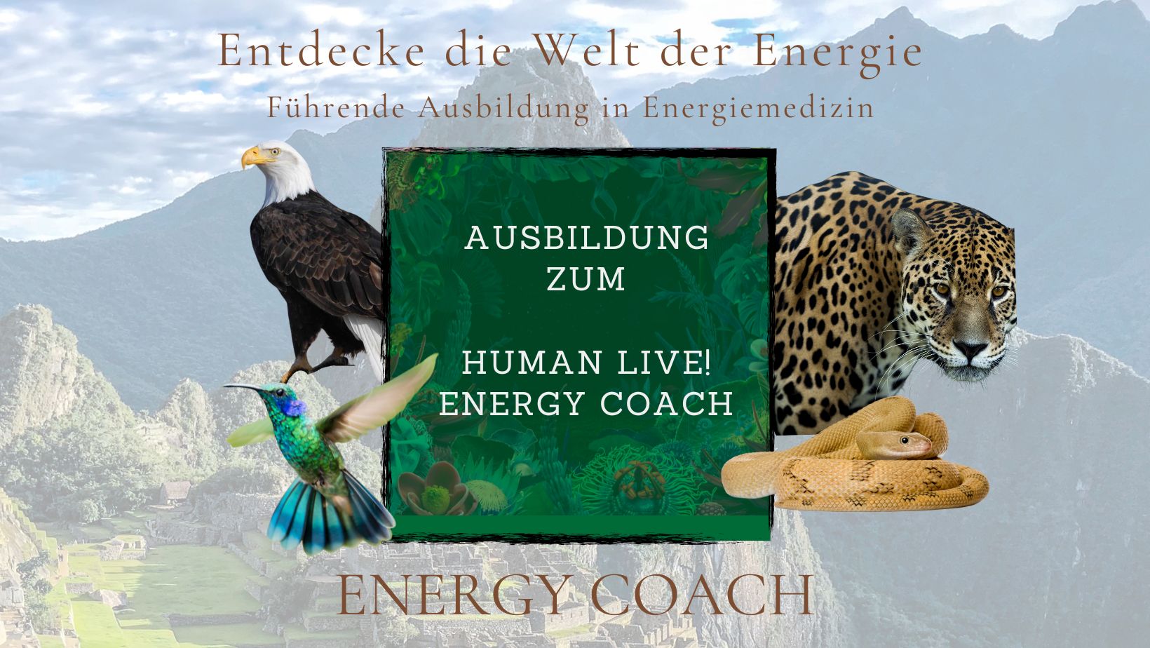 Ausbildung HUMAN Live! Energy Coach