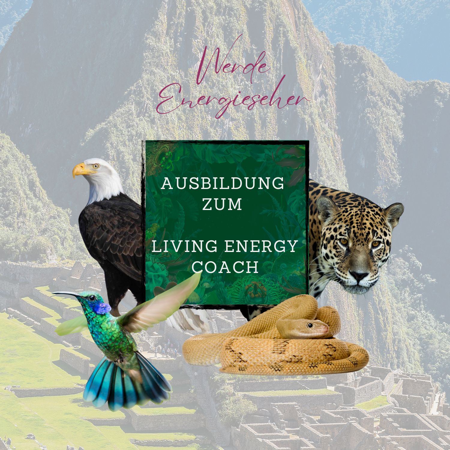 Ausbildung Living Energy-Energy Coach